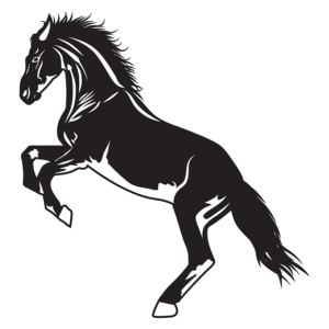 Pegasus