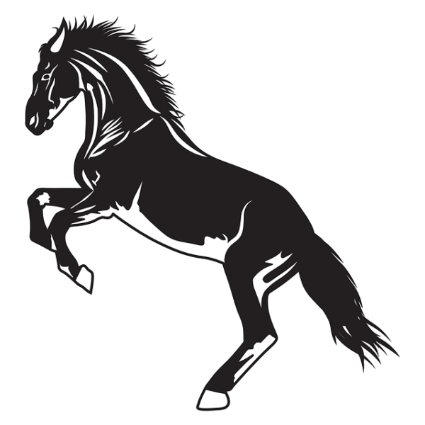 Pegasus